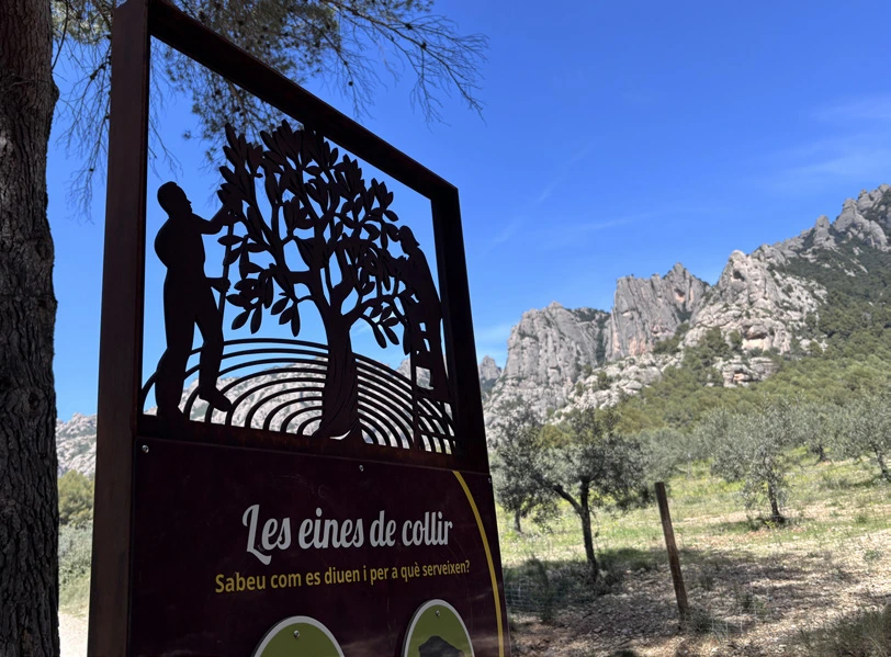 Panell eines de collir