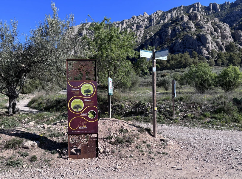 Panell ruta