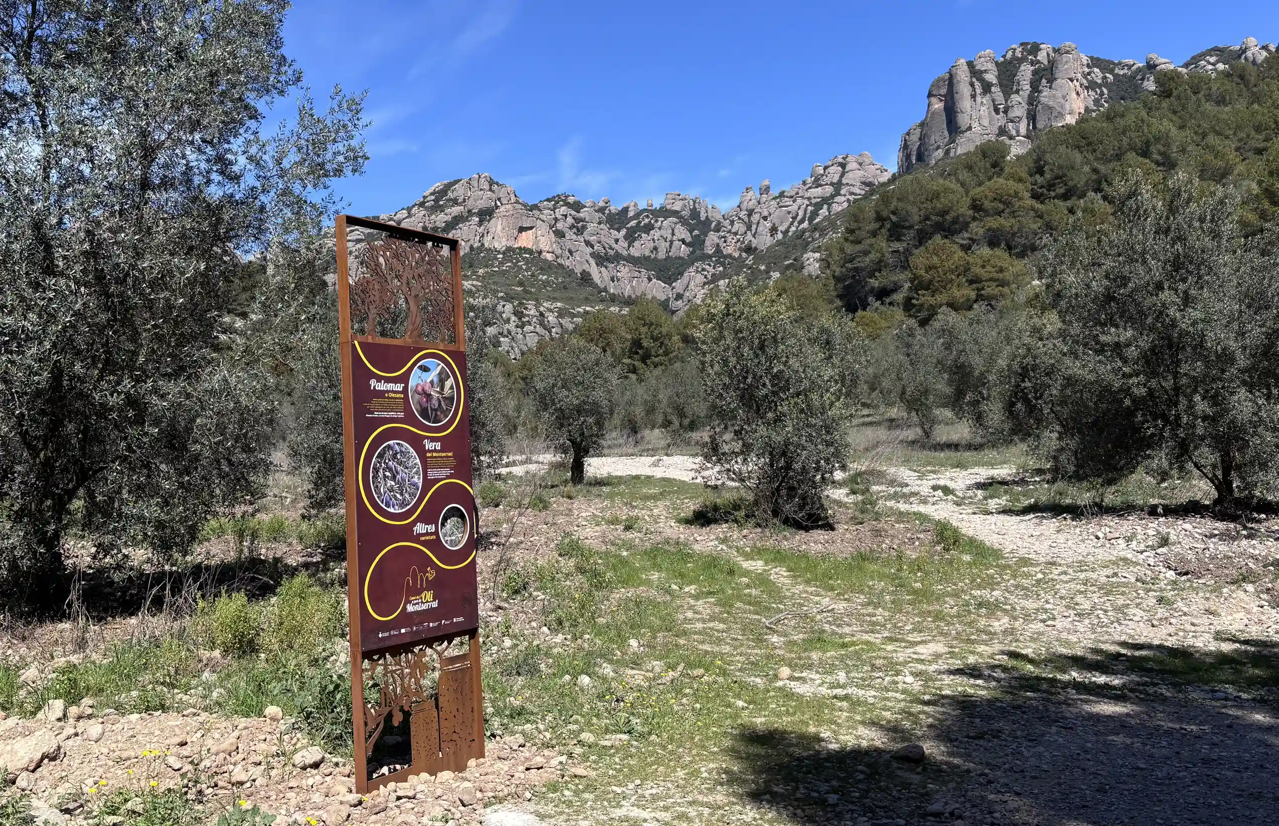 Panell interpretatiu al camí
