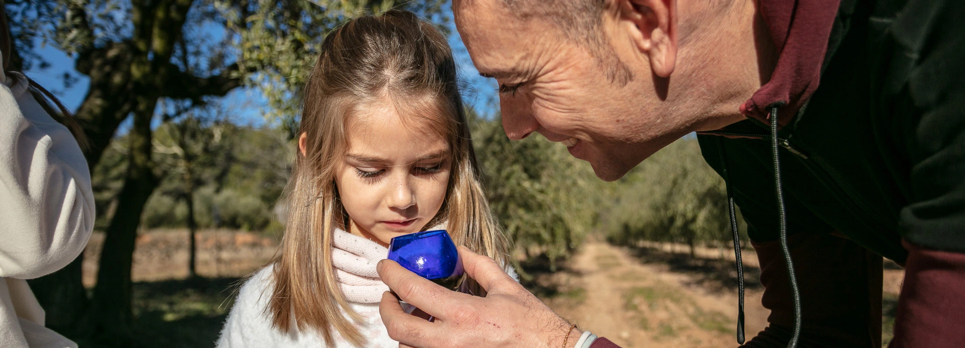 Família al camí entre oliveres